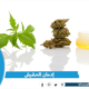 إدمان الحشيش